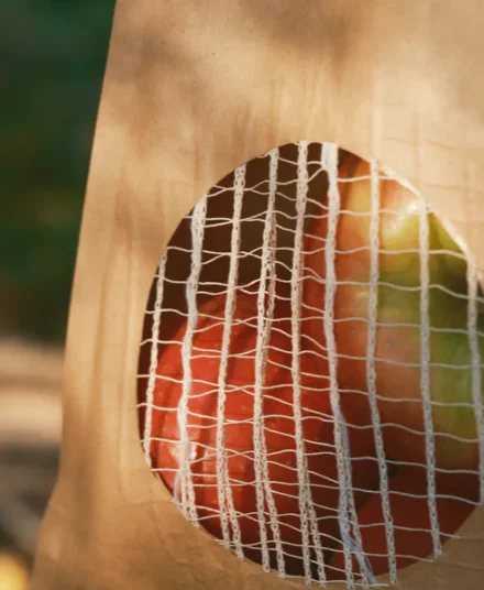 Apple in netted kraft bag