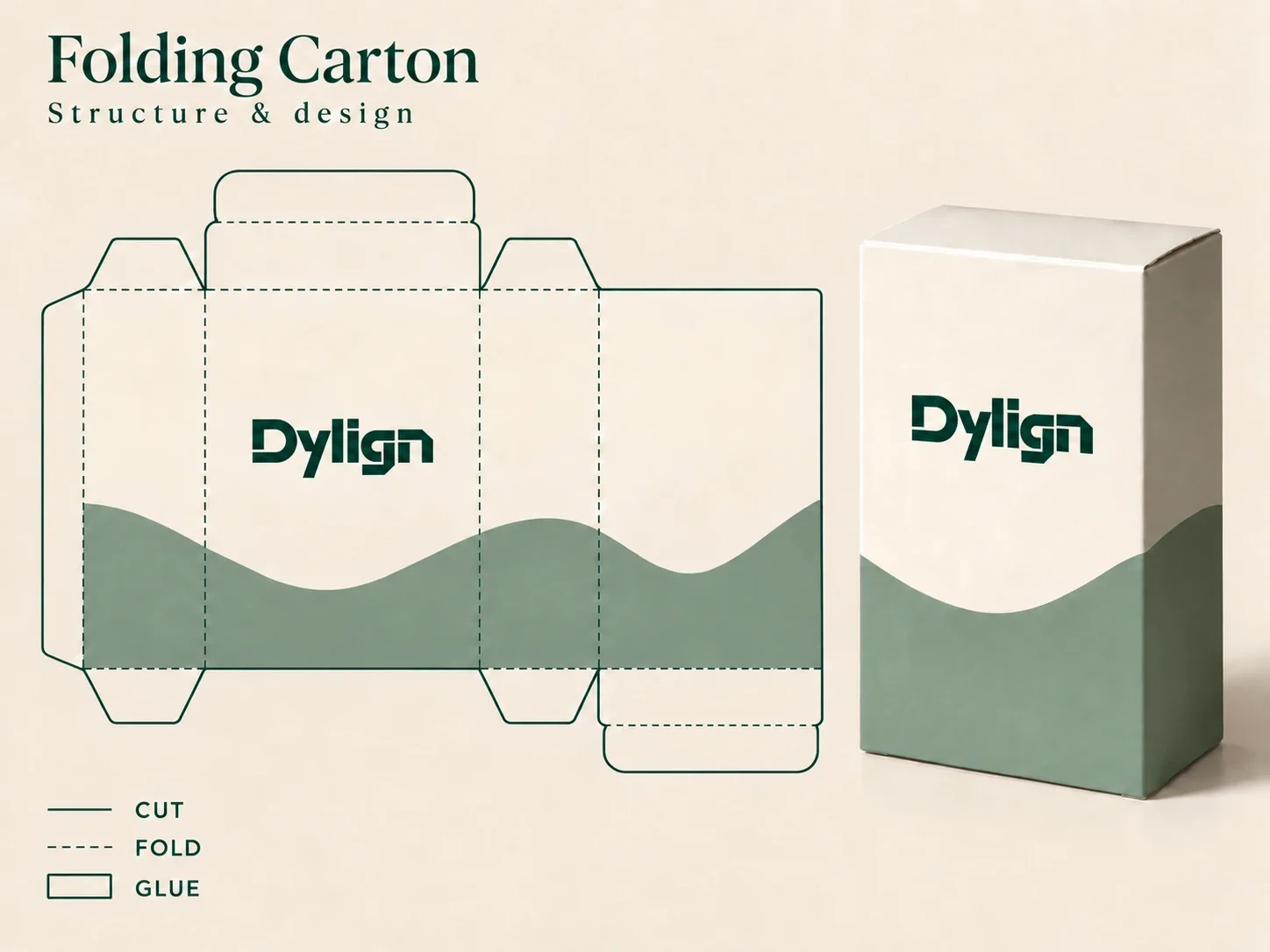 Folding carton dieline and dimensions