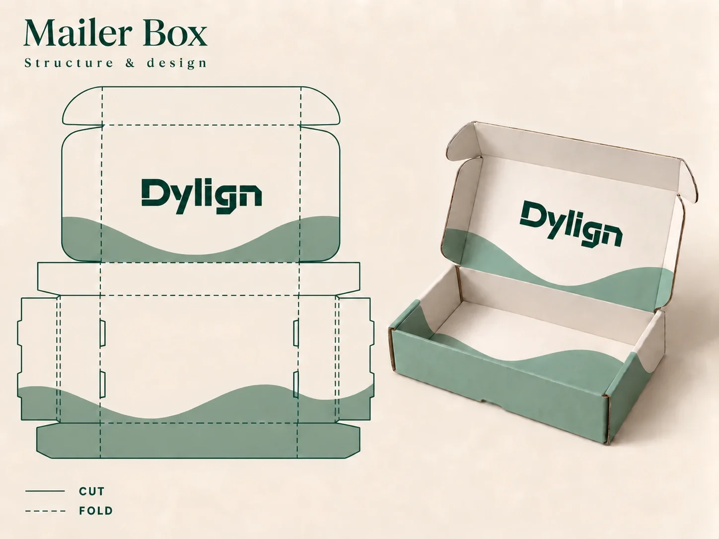 Mailer box dieline and dimensions