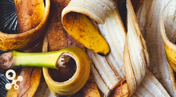 Banana peels representing compostable plant-based materials