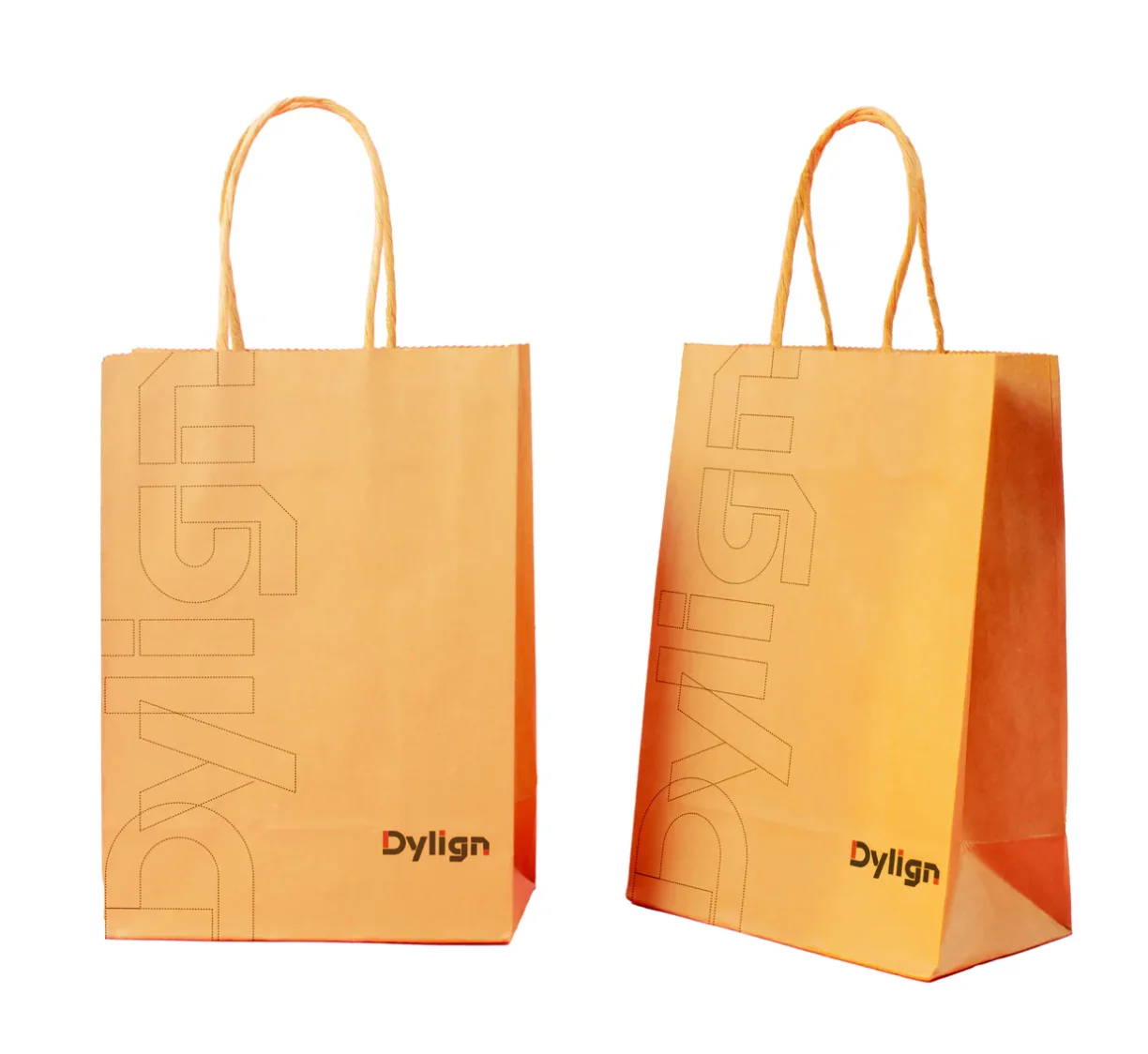 Custom paper shopping bag packaging