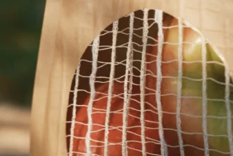 Retail bag with die-cut window and produce inside