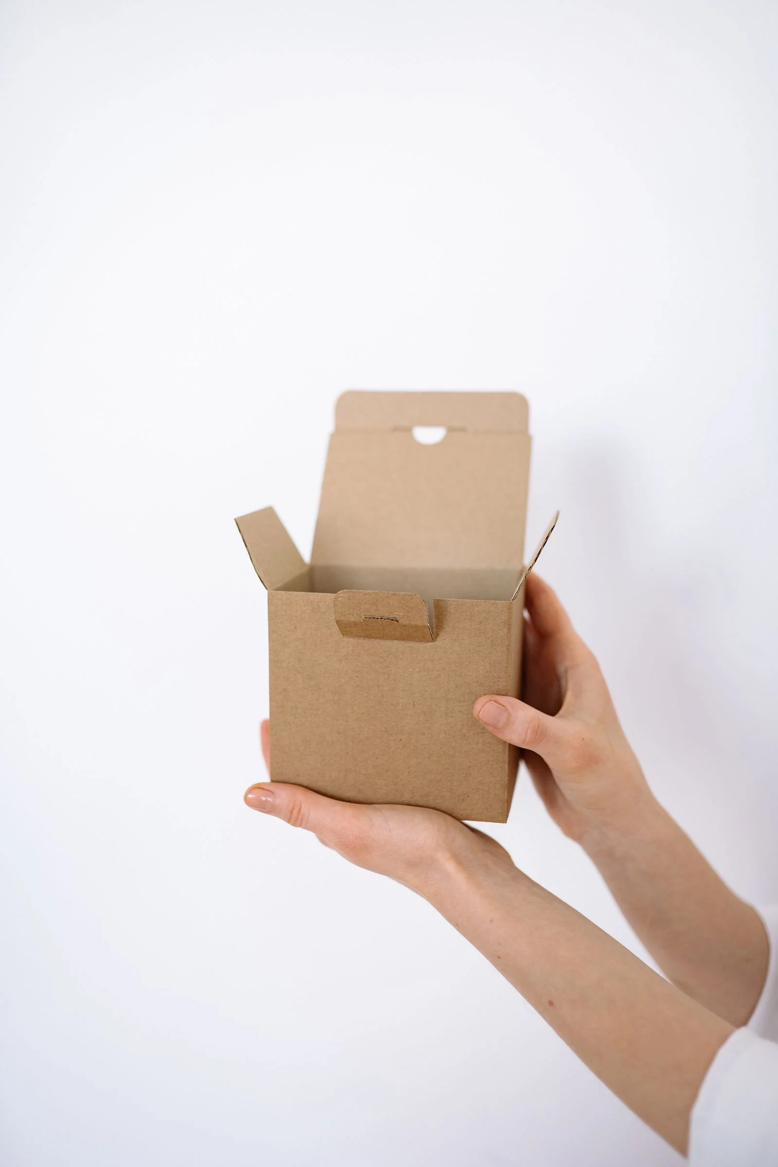 Flat mailer box dieline and assembled ecommerce mailer