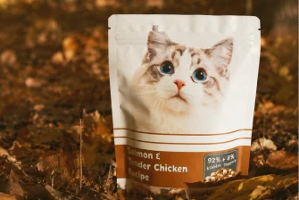 Cat treat pouch photographed outdoors on autumn leaves