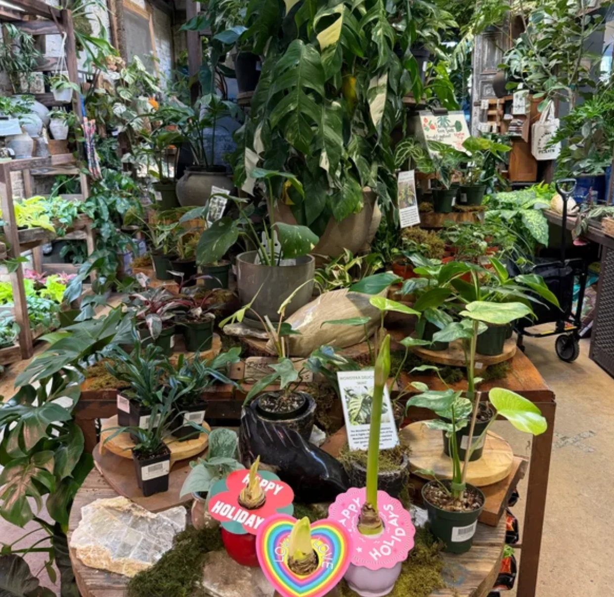 Dirt Party products displayed at City Planter