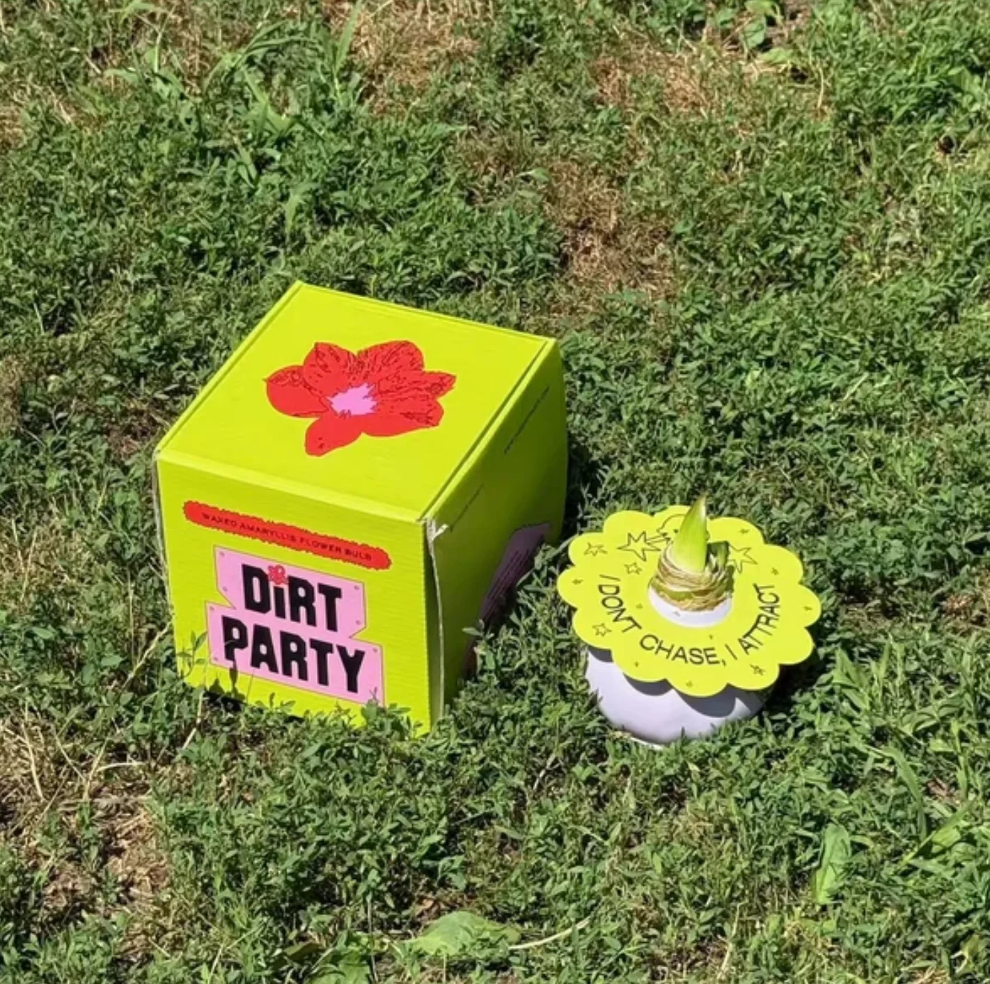 Neon-green Dirt Party gift box photographed outdoors
