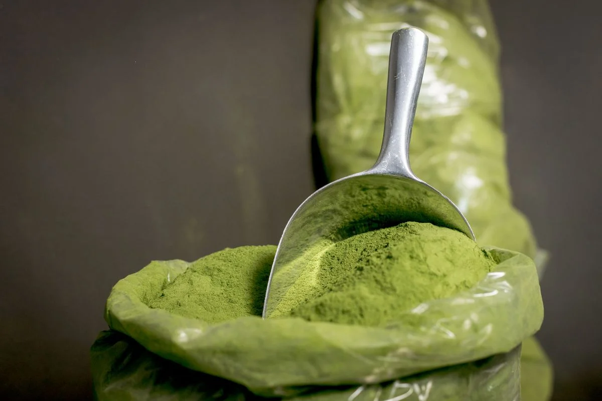 Fine plant-based powder in a scoop, showing ingredient behavior that affects stick pack barrier and moisture planning