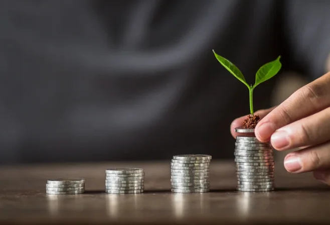 A young seedling growing from a stack of coins