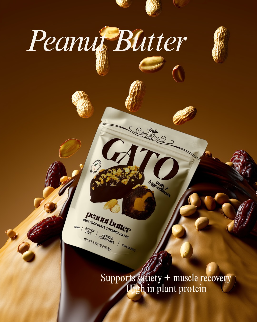 Gato peanut butter chocolate-covered date pouch with peanuts and dates on a brown background.