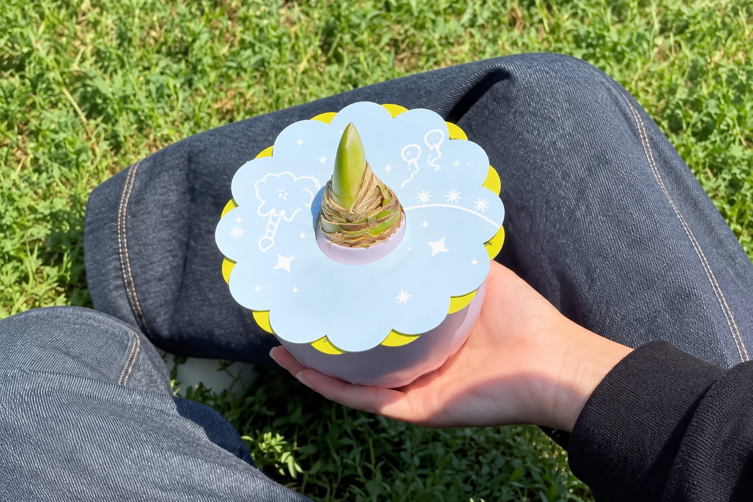A hand holding a decorated waxed amaryllis bulb outdoors
